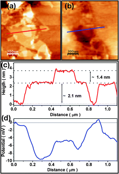 AFM and EFM images of a graphene flake. (a) AFM image of a graphene flake on a SiO2/Si substrate. (b) Corresponding EFM phase image with tip voltage (Vtip) of +3 V. (c) and (d) show the height profile and corresponding surface potential, respectively.