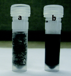 Long CNTs dispersed in a) water and b) PEI solution.