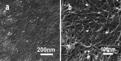 SEM images of the PEI–CNT composite films at different magnifications.