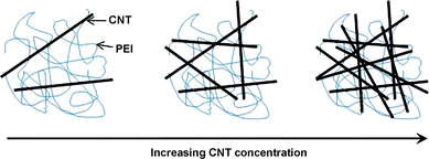 The dispersion state of long CNTs in PEI as a function of CNT concentration.