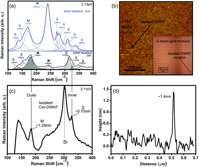 (a) Raman spectra for the RBM region for CVD-DWNT and C60-DWNT bundles (Elaser = 2.13 eV). (b) Atomic force microscope (AFM) image of one individual, isolated DWNT. Inset: Silicon substrate with Au markers showing the location of the DWNT. (c) Raman spectra for the RBM Raman region (Elaser = 2.11 eV) for an isolated individual C60-DWNT and (d) AFM height profile of the individual, isolated DWNT shown in (b) with the RBM spectrum shown in (c). The vertical lines connecting (a) and (c) show that the ωRBM of the prominent tube diameters observed in the C60-DWNT bundles coincide with the ωRBM of the inner and outer tubes of the isolated C60-DWNTs.