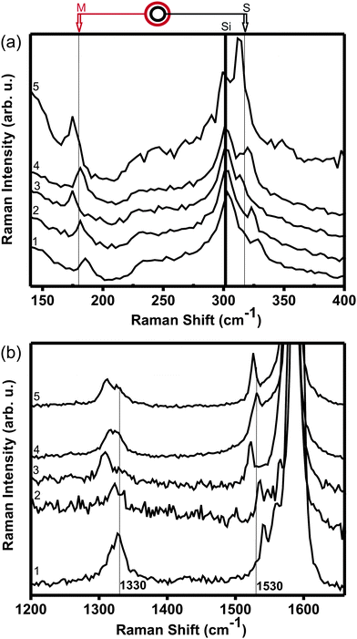 (a) RBM-band and (b) D and G-band regions of the Raman spectra corresponding to five different DWNTs whose inner and outer walls are simultaneously in resonance with the same laser line Elaser = 2.10 eV. Vertical lines in (a) denote outer M tubes and inner S (6,5) tubes and the dark vertical line denotes a Si Raman feature. The vertical lines in (b) denote D- and G-band features (see text).