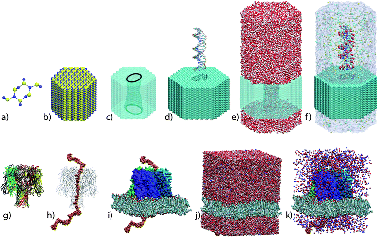Atom-scale models of solid-state (top row) and biological (bottom row) nanopores. To build a microscopic model of a solid-state nanopore, a unit cell (a) of Si3N4 or SiO2 crystal is replicated in 3D to produce a solid-state membrane (b). A nanometre-size pore is produced by removing atoms according to the desired shape (c). An optional step is to melt and resolidify the membrane material to obtain an amorphous surface (not shown).111 Next, a fragment of DNA is placed near the nanopore's entrance (d), water molecules are added to fill the volume of the simulated system (e), selected water molecules are replaced with the ions of the electrolyte according to the specified concentration (f). Similar steps are required to build a microscopic model of a biological nanopore: an X-ray structure of the pore (g) is combined with the nucleic acid in the desired conformation (h) and embedded in a lipid bilayer membrane (i). The resulting system is solvated (j) and ionized (k). The procedures are described in detail in refs. 112 and 65,113 and online tutorials 114.