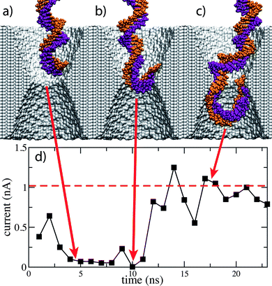 The effect of dsDNA conformation on ionic current blockades. (a–c) Snapshots from an MD simulation of dsDNA translocation through a 3.0 nm diameter pore in Si3N4. In this simulation, the Si3N4 membrane is 10 nm thick; the transmembrane bias is 1.3 V, the KCl concentration is 0.1 M. (d) The simulated ionic current. The ionic current returns to an open pore value while dsDNA is still in the pore.