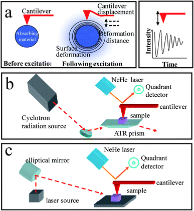 Schematic drawing of (a) the cantilever and sample before and after absorption of radiation, shown is the surface deformation effects creating displacement in the position of the cantilever following excitation (left), a graph of the intensity of the resulting cantilever oscillations over time following excitation (right). (b) The ATR-based AFMIR setup which uses a free-electron laser, (c) top-down experimental setup which uses a table-top PPLN-based laser system.