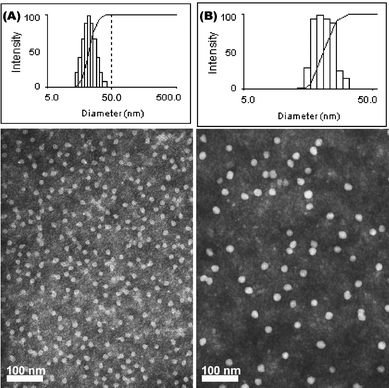 Characterization of PEO-b-PVBA micelles. Intensity-average weighted hydrodynamic diameter distribution histograms by DLS (top) and TEM micrograph (bottom, stained with PTA): (A) PEO45-b-PVBA18 micelles; (B) PEO113-b-PVBA46 micelles.