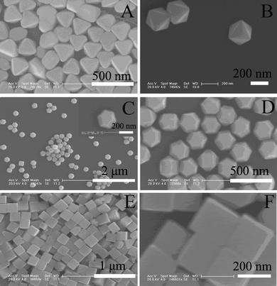 FESEM images of octahedral (A, B), tetradecahedral (C, D) and cubic (E, F) lead selenides. Experimental conditions are same as those shown in Fig. 1.