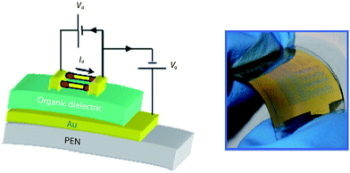 Stacking schematic view of a flexible FET having axially end-doped SiNWs in the channel, and image of a flexible device containing more than 50 linear transistors.