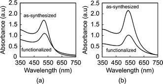UV-vis spectra of (a) 15 nm and (b) 40 nm Au NPs, showing no change in the position of plasmon bands between as-synthesized and functionalized Au NPs. Absorbance was normalized to a 1 cm optical path.