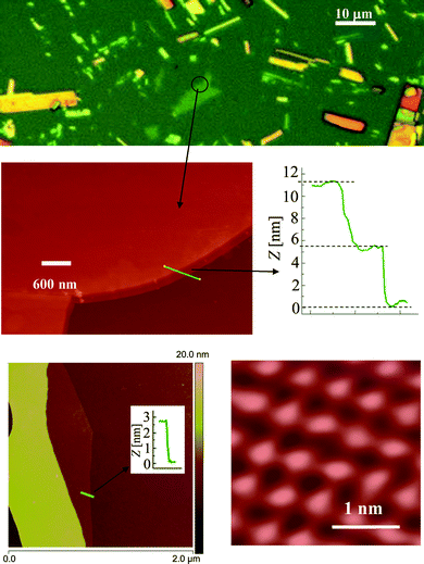 Typical optical (above) and corresponding AFM images and profiles of MoO3 sheets.