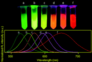 The true-color fluorescence images (excitation wavelength: 365 nm) and emission spectra (excitation wavelength: 400 nm) of (a) QDs(528), (b) QDs(552), (c) QDs(570), (d) QDs(595), (e) QDs(609) and (f) QDs(650) aqueous solutions prepared and used in this work.