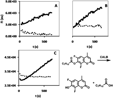 CALB-activity of incubation solutions collected after 24 h incubation time at (A) t = 24 h, (B) t = 48 h and (C) t = 72 h, for HA hydrogels containing CALB (black line) and HA hydrogels containing CALB-polymersomes (dots). The DiFMU assay reaction is shown at the bottom right.