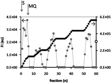 Conversion of DiFMU, measured by the fluorescence intensity of the product at λem = 460 nm, in a reactor constructed from an HA hydrogel containing CALB-polymersomes. Fractions of 125 μl each were collected and the fluorescence intensity was measured (grey dots, left axis). After 6 fractions the reactor was purged with Milli-Q. The black dots show the sum of the fluorescence intensities (right axis). For comparison, the fluorescence intensity of the substrate solution incubated with free CALB (FI = 3.1 × 105) is shown at the intersect with the right axis (open dot).