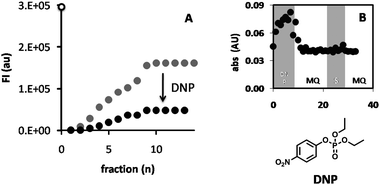 Conversion of DiFMU by feeding it through the polymersome hydrogel reactor, before (A; grey dots) and after (A; black dots) purging with the inhibitor DNP. The product was collected at the end of the reactor in a 96-well plate and the fluorescence at λem = 460 nm was measured. The fluorescence intensity of the free enzyme blank is shown at the intersect with the y-axis (FI = 3.1 × 105, open dot). Also shown (B) is the variation in absorbance at λ = 405 nm (indicating release of p-nitrophenol) of the fractions collected during the feeding of the reactor with DNP, Milli-Q (MQ), substrate, (S), and again Milli-Q (B).