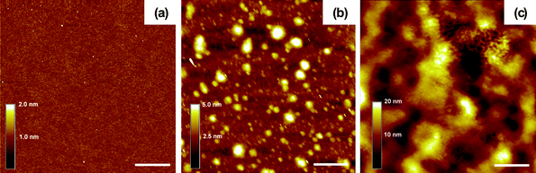Tapping-mode AFM images of (a) a single PEI film, (b) a (PEI/PSS)1 bilayer and (c) a (PEI/PSS)20 film. Scale bar = 1 μm.