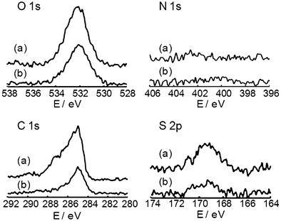 Core level spectra of O 1s, N 1s, C 1s and S 2p for (a) [PVA/(SWNT-PSS)]10 multilayers on CaF2 and (b) the bare CaF2 substrate.