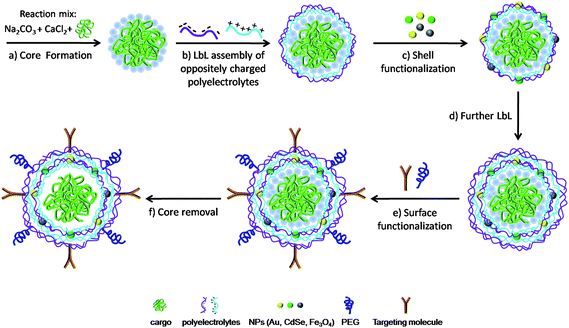 Schematic illustration of the synthesis of a multifunctional polyelectrolyte capsule via LbL assembly. (a) A spherical CaCO3 porous template is synthesized by mixing two solutions of Na2CO3 and CaCl2 in presence of the cargo molecules (such as drugs, genes or proteins). The cargo molecules are embedded in the pores of the template. (b) The filled CaCO3 particles are then coated via consecutive LbL deposition of oppositely charged polyelectrolytes to grow a multilayer polymer shell around the template. (c) The shell can be functionalized by loading charged NPs (such as metal, fluorescent and magnetic NPs) onto an oppositely charged layer during the LbL assembly. (d) LbL of polyelectrolytes is repeated to obtain a stable multilayer shell. (e) Additional surface functionalization to improve cellular uptake (e.g. targeting moieties) or in vivo longevity (e.g. conjugation of PEG) can be performed via electrostatic or covalent binding of molecules to the outer surface. (f) Finally the spherical template is removed to obtain a multilayer capsule with cargo molecules inside its cavity. Capsules are not drawn to scale. Only few layers of polyelectrolyte and of NPs are shown for sake of clarity.