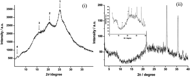 X-Ray diffraction pattern of (i) PANI-NT and (ii) PANI-NS/ITO film; Inset: Fig 1 (ii) shows the magnified view (intensity between 0 to 90 a. u.) of the XRD.