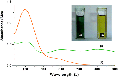 UV-Visible spectra of CSA doped PANI in (i) formic acid (FA) (ii) ethylene glycol (EG); inset shows visual observation of PANI colloidal suspension in (i) FA (ii) EG.