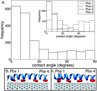 (a) Contact angle between the Phe rings and CNT for an AT simulation where one nano-1 is adsorbed onto a CNT. The contact angle was calculated between the normal vectors of the CNT surface and the plane of the Phe ring. Hence, an angle of 0° corresponds to the Phe ring aligning parallel with the CNT surface. Contact angles were calculated from 30 to 40 ns. The inset shows the contact angle for each individual Phe ring. (b) and (c) are snapshots of the Phe rings (red) interacting with the CNT. In (b) all Phe rings have contact angles between 0 and 20°. In (c) Phe 1 has a contact angle of 74°.