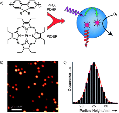 a) Schematic illustration of the formation of conjugated polymer dots for oxygen sensing. b) Representative AFM image of PtOEP-doped PDHF dots dispersed on a mica substrate. c) Histogram of particle-height data obtained from the AFM image in (b). Reproduced with permission from ref. 53 (Copyright 2009 Wiley-VCH Verlag GmbH & Co. KGaA).