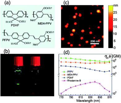 (a) Chemical structures of the conjugated polymers. (b) Photograph of the fluorescence from aqueous CPN dispersions under two photon excitation of an 800 nm mode-locked Ti:sapphire laser. (c) A typical the atomic force microscopy (AFM) images of the PFPV dots on a silicon substrate. (d) Semilog plot of two-photon action cross sections versus the excitation wavelength for CPNs and rhodamine B (reference compound). Reprinted with permission from ref. 10 (Copyright 2007 The American Chemical Society).