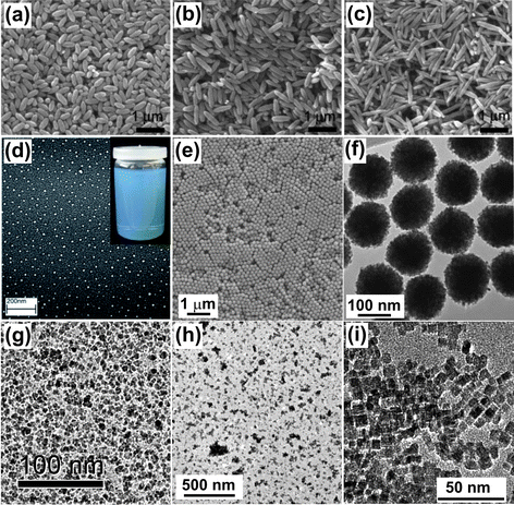 TEM or SEM overview images of metal oxide nanoparticles prepared by microwave-assisted liquid phase routes. (a)–(c) α-Fe2O3 with different aspect ratios (reproduced from ref. 94 with permission of Wiley-VCH), (d) indium tin oxide nanocrystals (inset: ITO nanoparticles dispersed in diethylene glycol) (reproduced from ref. 126 with permission of Elsevier), (e)–(f) monodisperse and single-crystalline ZnO colloidal nanocrystal clusters (reproduced from ref. 131 with permission of Wiley-VCH), (g) NiFe2O4, (h) BaTiO3 nanoparticles, (i) TiO2 nanocrystals (reproduced from ref. 139 with permission of the American Chemical Society).