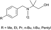 Structures of nitroxide probes employed to investigate protected NPs.