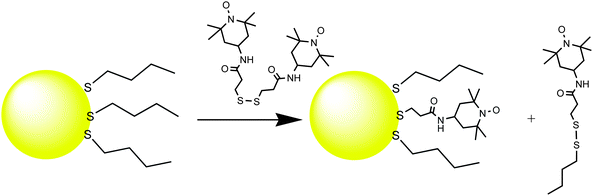 Ligand exchange of spin-labeled disulfides with thiol-protected AuNPs.