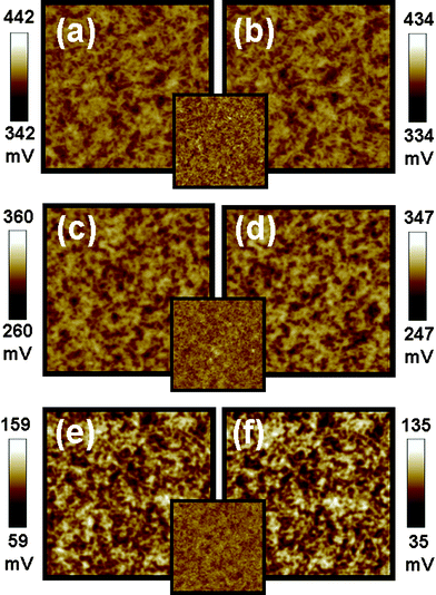 Surface potential mappings in the dark (a,c,e) and under illumination (b,d,f) of P3HT:TiO2 films made with low MW P3HT (a,b), medium MW P3HT (c,d) and high MW P3HT (e,f) on PEDOT:PSS/ITO substrate respectively. The insets are topographic images for P3HT:TiO2 films made with different molecular weight of P3HT. These image sizes are 5 × 5 μm.