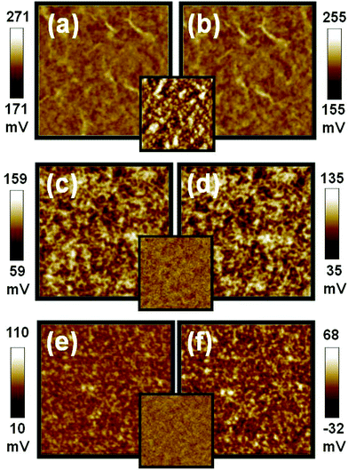 Surface potential mappings in the dark (a,c,e) and under illumination (b,d,f) of the P3HT:TiO2 film made with different TiO2 on PEDOT:PSS/ITO substrate, (a,b) the film made of TiO2 NRs with oleic acid ligand, (c,d) the film made of TiO2 NRs with pyridine ligand, (e,f) the film made with oligomer 3HT-COOH respectively. The insets are topographic images of P3HT:TiO2 films made from different TiO2. These image sizes are 5 × 5 μm.