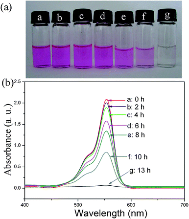 (a) Photo images of absorption of Rh B at different times by La2(MoO4)3 microflowers obtained with the assistance of 0.05 g EDTA. (b) Absorption spectra of a solution of Rh B (10 mg L−1, 50 mL) in the presence of 10 mg La2(MoO4)3 microflowers at different time intervals.
