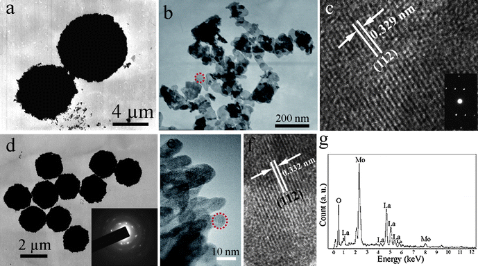 (a) TEM image of the microflowers obtained with the assistance of 0.05 g EDTA. (b) TEM image of the irregular nanoflakes peeled from integrated flowers after ultrasonic treatment for 30 min. (c) HRTEM image and ED pattern of a single nanoflake. (d) Representative TEM image of the microspheres obtained in the presence of 0.35 g EDTA (inset: ED pattern of an individual microsphere). (e) TEM image of the fringe of an individual microsphere. (f) HRTEM image of a nanoparticle marked in (e). (g) EDS spectrum of the microspheres.