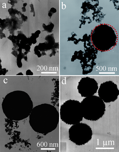 TEM images of the products collected at different reaction times with the aid of 0.46 g EDTA. (a) 5 min, (b) 15 min, (c) 1 h and (d) 3h.