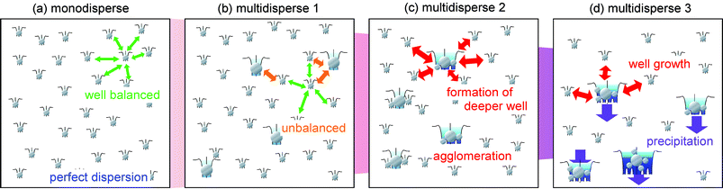 Schematic description of the dispersion mechanism of a solution containing fully surface stabilized NPs, i.e., without surface electrostatic potential. Every NP has its own potential depending on its size. When the solution is filled with monodispersed NPs, as shown in (a), the potential balance in the solution may be sufficient to maintain perfect dispersion for a long time. On the other hand, when the solution is unbalanced by the addition of several large-sized NPs, as shown in (b), the system immediately loses the potential balance and shows agglomeration. Larger NPs have a deeper potential well than smaller NPs; therefore, larger NPs can absorb the other NPs in their vicinity, as shown in (c). Once the agglomerates are formed in the solution, the potential well of the agglomerates increases with the size of agglomerates. Finally, when the large agglomerates become too heavy to disperse in the solution, precipitation occurs, as shown in (d).