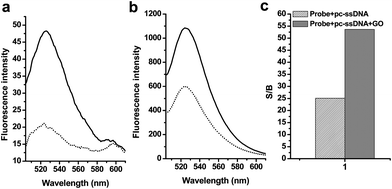 Changes in the fluorescence emissions of 2 in the phosphate buffer caused by graphene oxides and/or the ssDNA target 3. (a) Fluorescence emission spectra of solutions of 2 in the absence (solid lines) and presence (dotted lines) of GO, (b) Fluorescence emission spectra of solutions 2 containing a 6-fold excess of 3 in the absence (solid lines) and the presence (dotted lines) of GO. The concentrations of 2 were 20 nM, and the excitation wavelength was 494 nm. (c) Comparisons of the signal-to-background ratio (S/B) of the fluorescent oligonucleotides generated by a 6-fold excess of the pc-ssDNA target 3 in the absence (dense bars) and presence (grey bars) of GO. The concentrations of 2 were 20 nM, and the excitation and emission wavelengths were 494 and 524 nm, respectively.