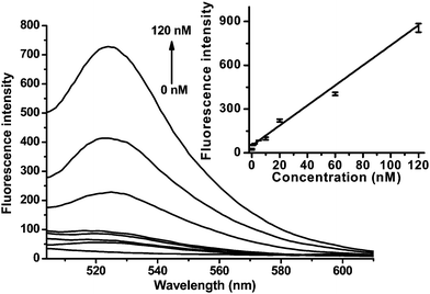 Fluorescence emission spectra of 2-GO (20 nM, λex = 494 nm) in the presence of different concentrations of 3. Inset: the fluorescence intensity plotted against the concentration of 3.