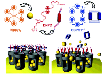 Psuedorotaxane nanovalves responsive upon chemical reduction of CBPQT ring that causes dethreading of the ring from the post and releasing of entrapped guest molecules from nanochannels of mesoporous silica. (Reprinted with permission from ref. 73a).