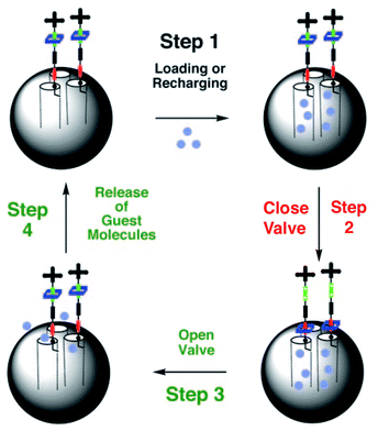 Reversible rotaxane nanovalves anchored to the surface mesoporous silica nanoparticles. (Reprinted with permission from ref. 73b).