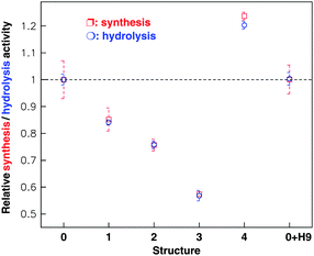 Relative synthesis (red) and hydrolysis (green) activities of the holoenzyme with different links on the β subunit as shown in Fig. 7. The statistical value (mean s.e.m.) of each structure was computed from 50–60 samples. The experiment has been repeated independently more than five times (10 samples each time). The native FoF1-ATPase (structure 0) activity was taken as a control and others were expressed in proportion to the control. Structures 1, 2, 3 and 4 represent the FoF1-ATPase linking in series on the β antibody, streptavidin, H9 antibody and H9 virus respectively. 0 + H9 represents the holoenzyme mixed directly with the H9 virus.