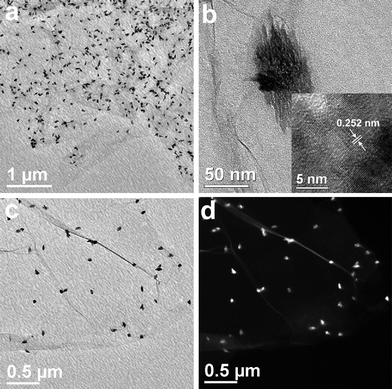 TEM images of the CuO:GO0.5 nanocomposite. (a, b, c) Bright-field TEM images. The inset of (b) is a HRTEM image of CuO particle. (d) Dark-field TEM image.
