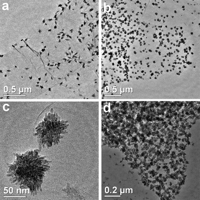 TEM images of (a) CuO:GO1, (b, c) CuO:GO2 and (d) CuO:GO3 nanocomposites.