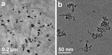 TEM images of CuO:GO0.5 nanocomposites when different volume ratios of the added water and isopropanol are used: (a) 20mL : 50 mL, (b) 50 mL : 50 mL.