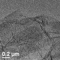 TEM image of obtained product with only water as the solvent.