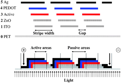 The substrate (PET) is shown along with the position and order of the layers. ITO (1), ZnO (2), Active (3), PEDOT (4) and silver (5). The view is along the striped pattern (above). The finally connected module is shown schematically (below) as three serially connected stripes where the active areas and passive areas are highlighted.