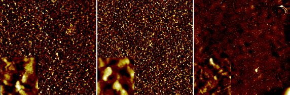 AFM images of the active layer surface post production and after delamination at the active layer–PEDOT:PSS interface. The images are 100 × 100 μm (insets are 5 × 5 μm). The surface of the active layer beneath printed silver was visibly different and with a roughness of 40 nm (left). The surface underneath PEDOT:PSS without the print was smoother with a roughness of 25 nm (middle). The devices that were pre-washed with isopropanol during coating of PEDOT:PSS were much smoother underneath the printed silver with a roughness of 20 nm (right).