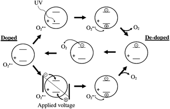 Proposed mechanism and interaction of ZnO nanoparticles with oxygen and UV light. The charges denoted as ± are bound charges whereas the encircled charges are mobile. The initially doped state can become de-doped by application of a voltage or by application of UV light. The oxygen present will gradually re-absorb on the surface and re-dope the ZnO nanoparticles.