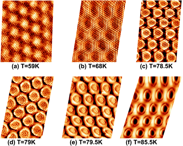 STM image sequence of xenon desorption from the nanomesh. Scale: pore–pore distance = 3.2 nm, sample bias (US) = −320 mV, IT = 0.5 nA. (a) Xe multilayer at T = 59 K, (b) Xe monlayer at T = 68 K, (c) Partial Xe desorption from wires at T = 78.5 K, (d) Wires completely Xe free at T = 79 K, (e) A few Xe atoms in the center of the pores at T = 79.5 K, (f) Xe “rings” at the rims of the pores at T = 85.5 K.