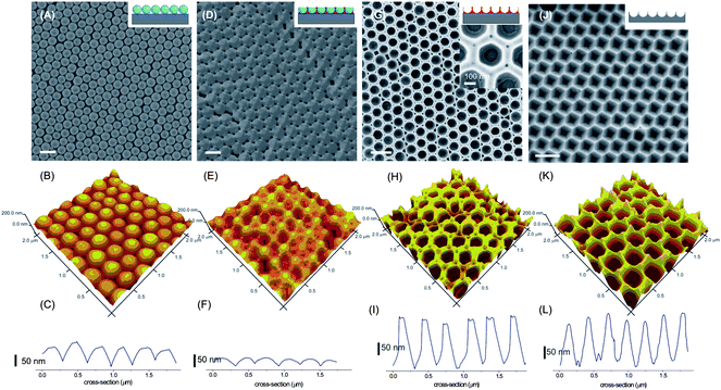 SEM and AFM images and AFM height profiles of samples made from a preformed particle array (A–C), followed by spin-coating of PFMPS and argon sputtering (D–F), HF etching (G–I) and RIE and HNO3 wet-etching (J–L). The scale bars indicate 500 nm.