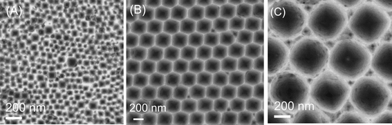 Nanosize-patterned silicon substrates prepared by using (A) 60 nm nanoparticles, (B) 300 nm particles and (C) 500 nm particles.